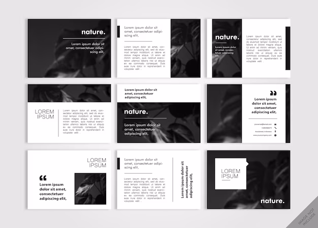 ศิลปะภาพถ่ายซ้อนในศิลปะหนังสือ (Art within Art)